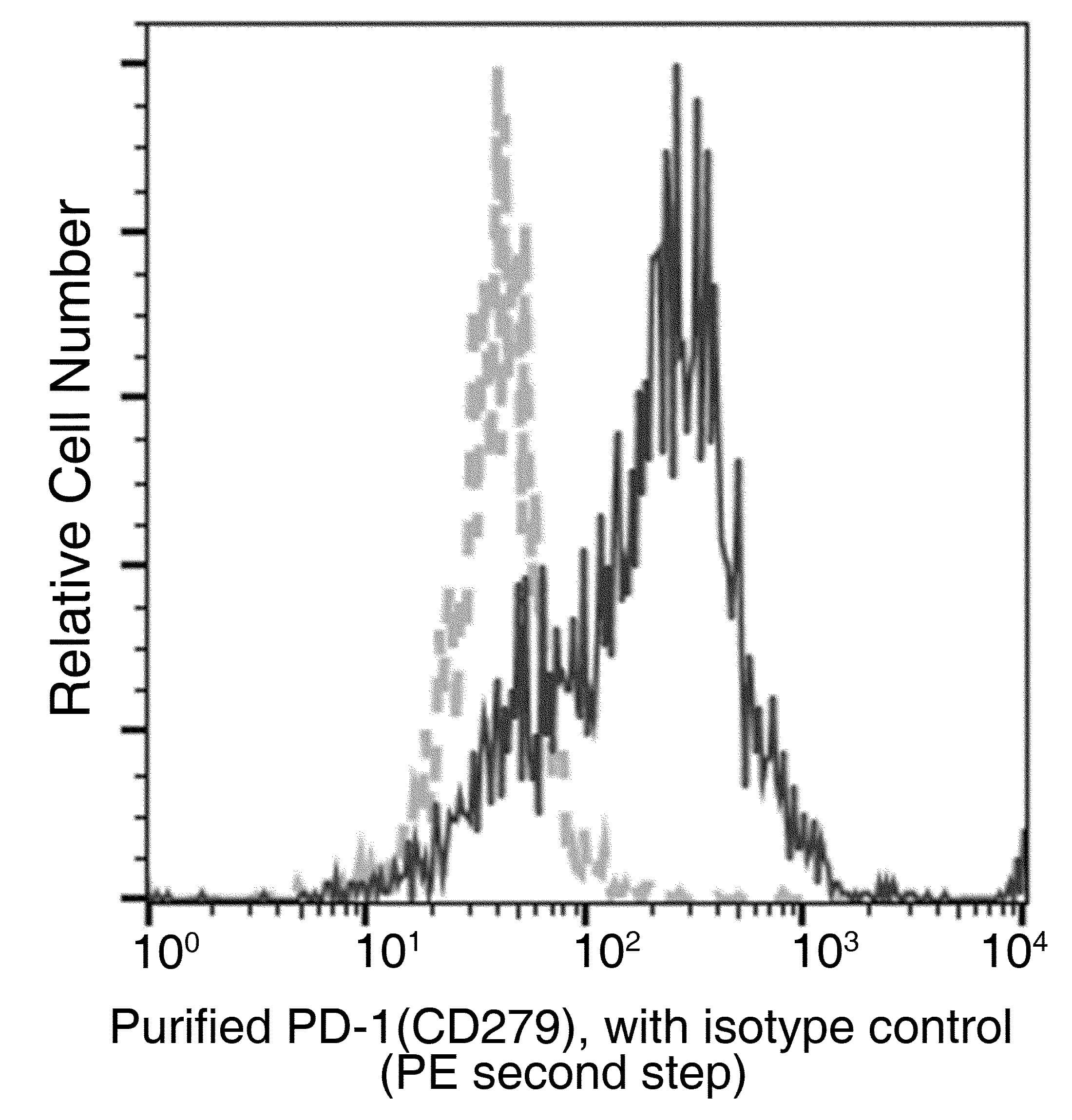 PDCD1 / CD279 / PD-1 Antibody (clone 140, Preservative Free)