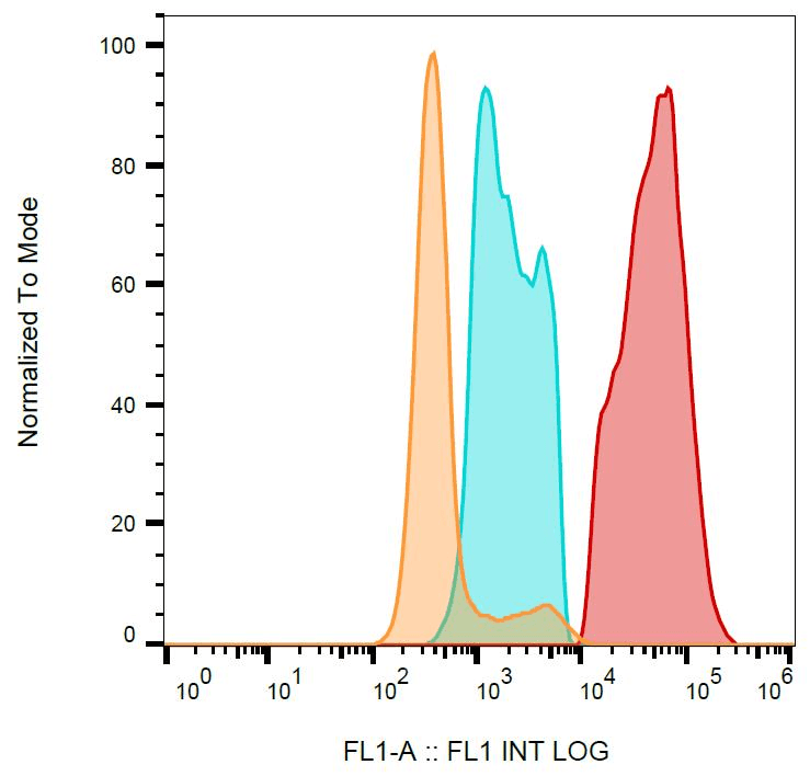 Monoclonal Mouse anti-Human CD40L Antibody (clone 24-31, FITC)