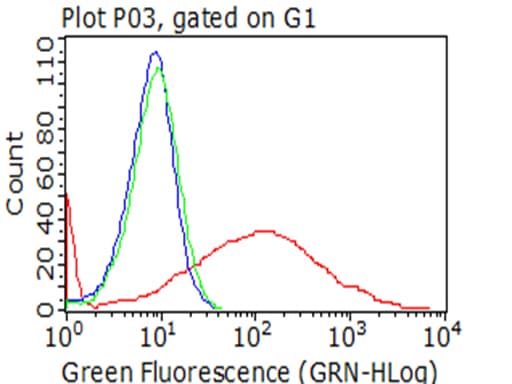Monoclonal Mouse anti-Human HAVCR2 / TIM-3 Antibody (clone OTI1D6, WB)