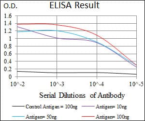 NCLN Antibody (aa249-405, clone 9C8G10)