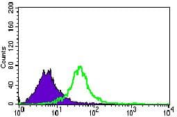GNL3 / NS / Nucleostemin Antibody (Amino Acid: 1-226, clone 2C8D5)