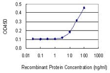 Monoclonal Mouse anti-Human HSF1 Antibody (clone 1A11, WB)