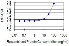 Monoclonal Mouse anti-Human EPHA1 / EPH Receptor A1 Antibody (clone 8D4, WB)