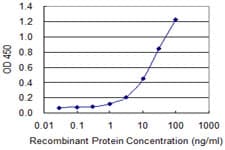 POLR2C Antibody (clone 1C11)