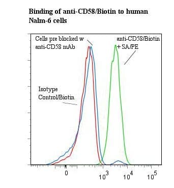 Monoclonal Mouse anti-Human CD58 Antibody (clone TS2/9, Biotin)
