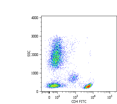 CD4 Antibody (N-Terminus, clone MEM-241, FITC)