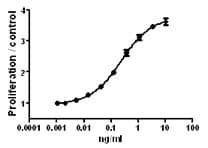 Human IL3 Protein (Recombinant)