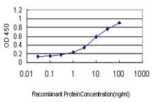 Monoclonal Mouse anti-Human XIAP Antibody (clone 2B3, WB)