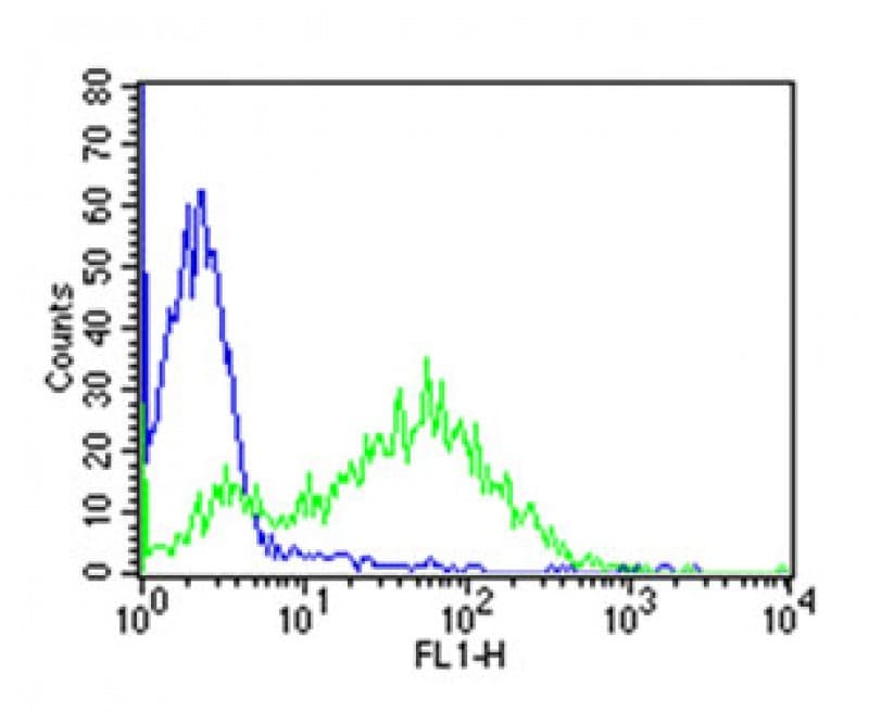 Monoclonal Mouse anti-Human IL2RA / CD25 Antibody (clone 7G7B6 Equivalent)