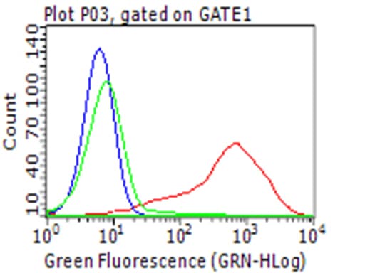 Monoclonal Mouse anti-Human CD274 / B7-H1 / PD-L1 Antibody (clone OTI9E1, Carrier-free, WB)
