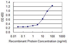 Monoclonal Mouse anti-Human DUSP3 / VHR Antibody (clone 2C4)