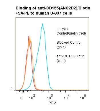 Monoclonal Mouse anti-Human PVR / CD155 Antibody (clone ANC2B2, Biotin)
