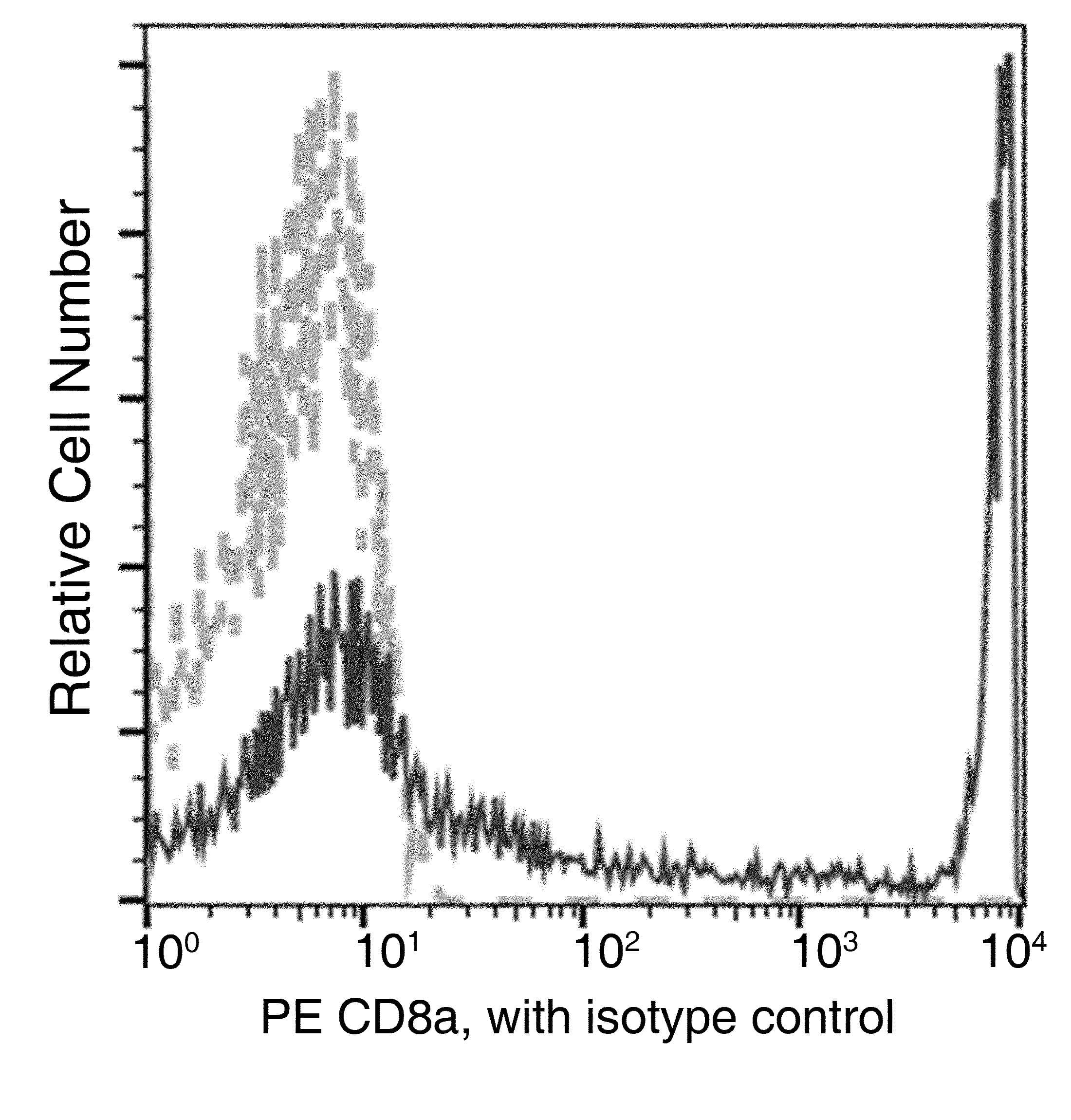 Monoclonal Mouse anti-Human CD8A / CD8 Alpha Antibody (clone 48, PE)