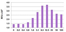Mouse MIP2 / GRO2 / CXCL2 Protein (Recombinant)