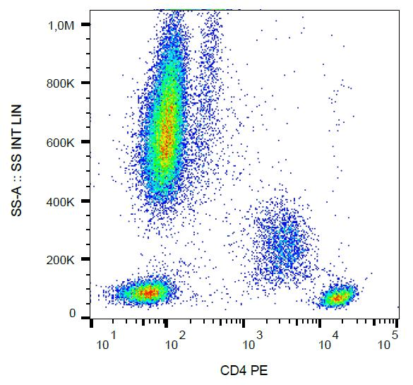 CD4 Antibody (N-Terminus, clone MEM-241, PE)