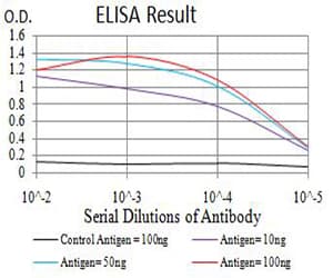 Monoclonal Mouse anti-Human GRIA2 / GLUR2 Antibody (clone 7A7A3, IHC, WB)