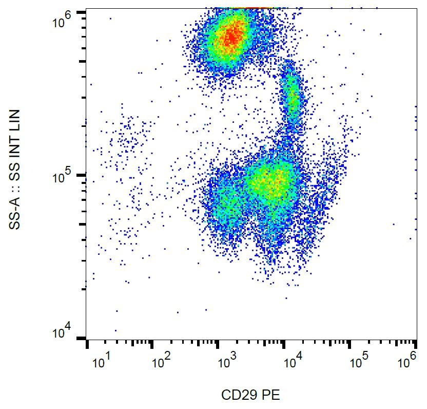 Monoclonal Mouse anti-Human ITGB1 / Integrin Beta 1 / CD29 Antibody (clone MEM-101A, PE, WB)