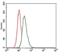 Monoclonal Mouse anti-Human LRP5 Antibody (clone 2B11, WB)