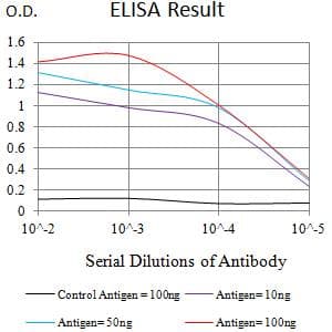 LRP4 Antibody (clone 5C7A9)