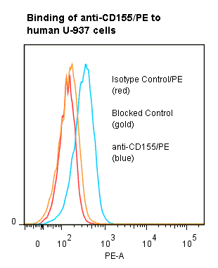 Monoclonal Mouse anti-Human PVR / CD155 Antibody (clone ANC2B2, PE)