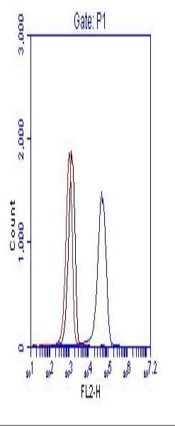 CML / BCR Antibody (aa50-100)