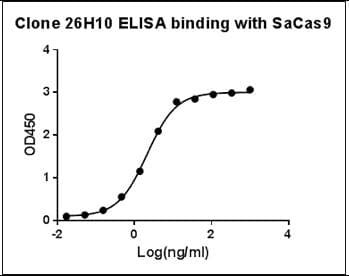 Monoclonal Mouse anti-Staphylococcus aureus Streptococcus pyogenes CRISPR-associated endonuclease Cas9/Csn1 Antibody (clone 26H10, IF, WB)