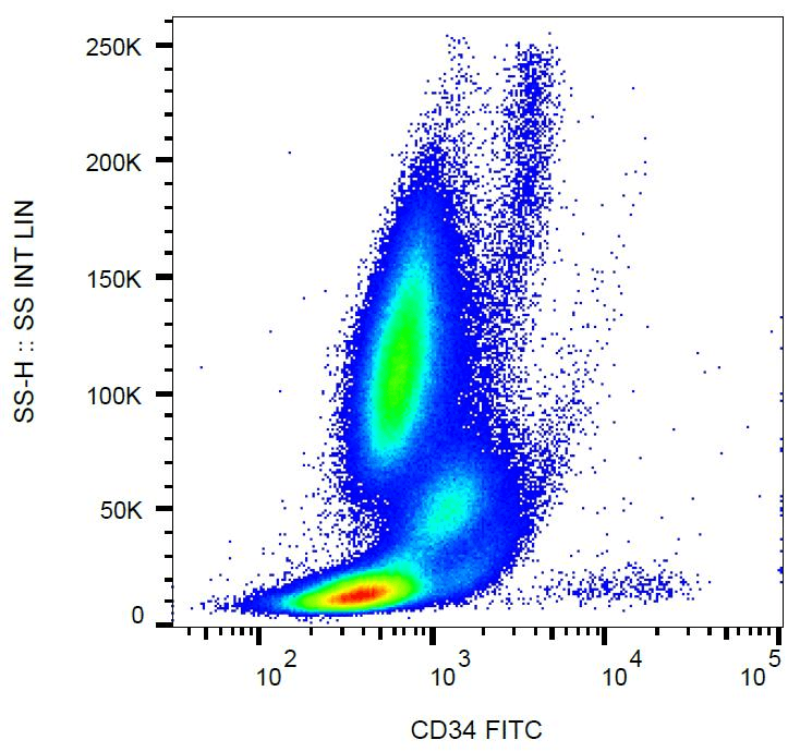 Monoclonal Mouse anti-Human CD34 Antibody (clone 581, FITC, IHC)