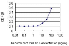 IPP Antibody (clone 4C2)