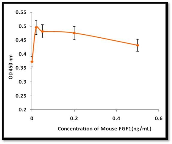 Mouse FGF1 / Acidic FGF Protein (Recombinant)