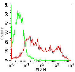 IL2RA / CD25 Antibody (clone 7G7B6, PE)