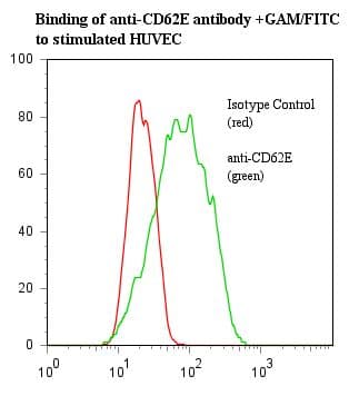 SELE / CD62E / E-selectin Antibody (clone HAE-1f, Azide-free)
