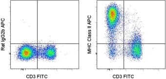 Monoclonal Rat anti-Mouse MHC Class II IA/IE Antibody (clone M5/114.15.2, APC)