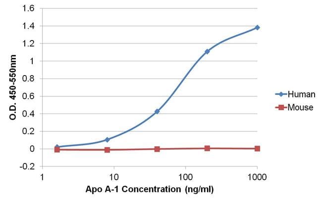 APOA1 / Apolipoprotein A 1 Antibody (clone 6001)