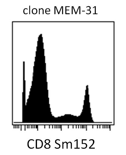CD8 Antibody (clone MEM-31)