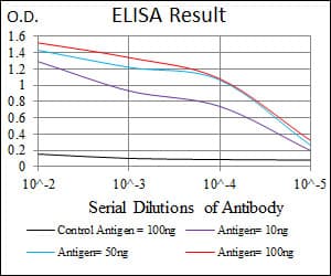 NCK1 / NCK Antibody (clone 5B7)