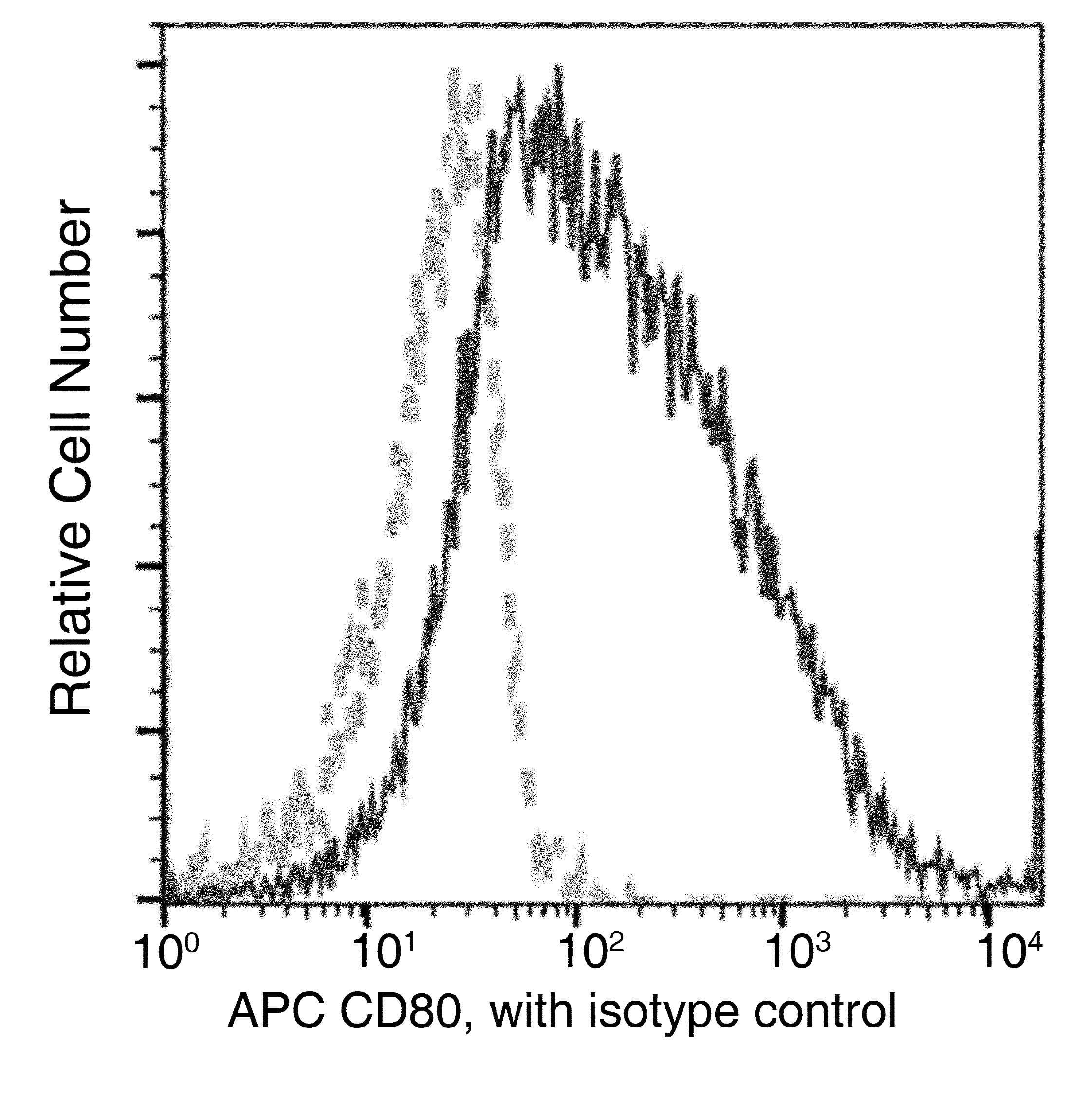 Monoclonal Rabbit anti-Mouse CD80 Antibody (clone 009, APC)