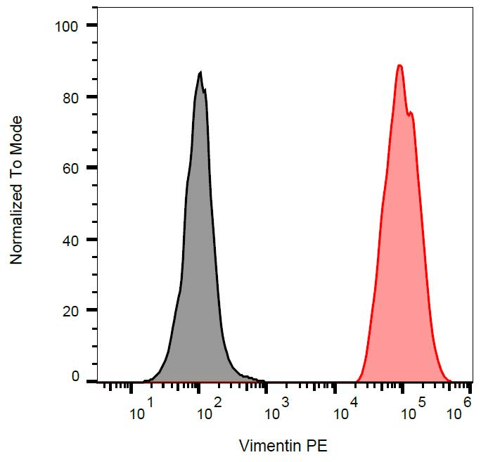 Vimentin Antibody (clone VI-RE/1, APC)