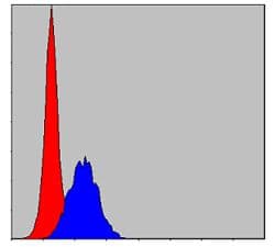 Monoclonal Mouse anti-Human c-CBL Antibody (clone 3B12, IHC, IF, WB)