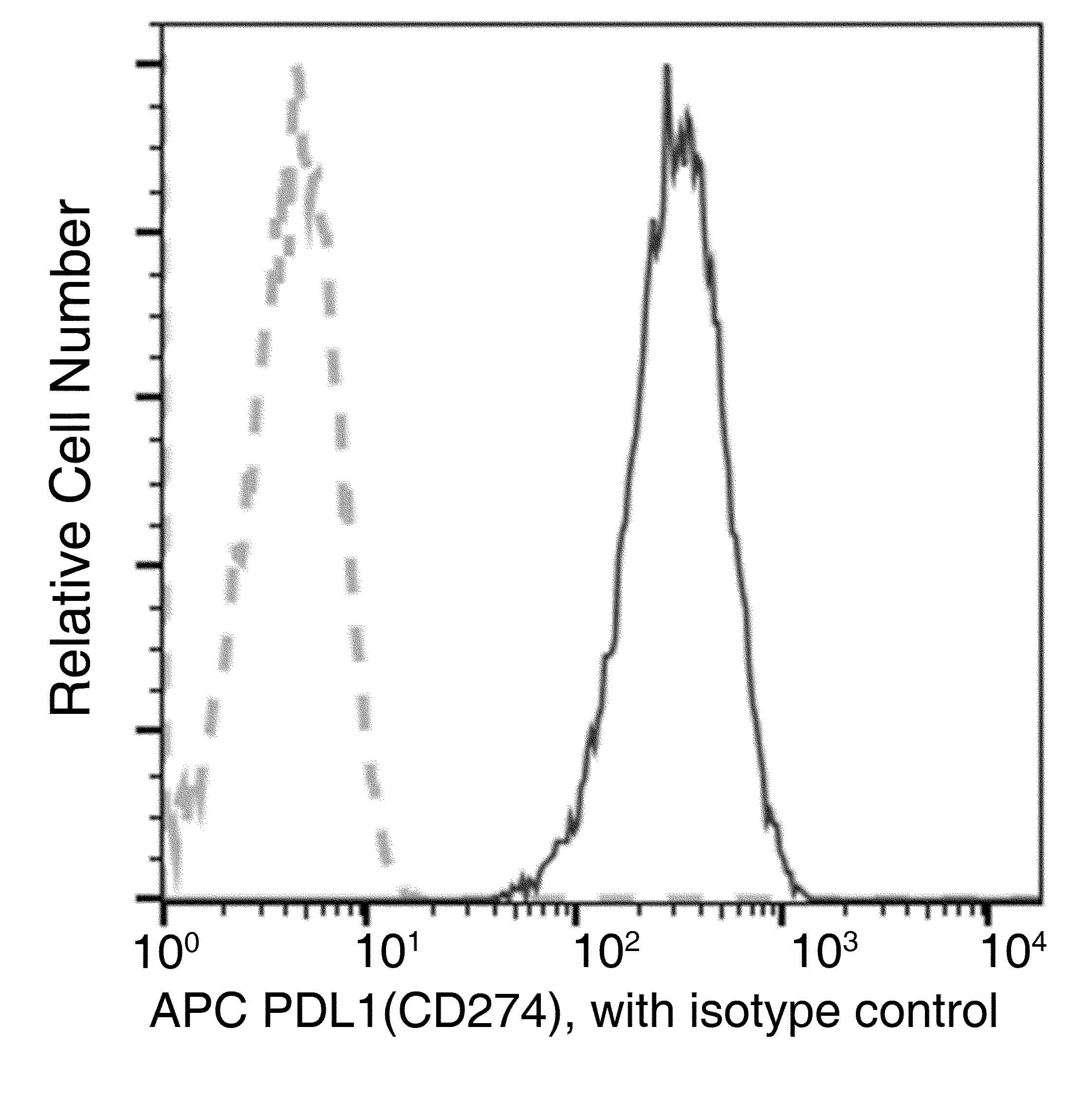 Monoclonal Rabbit anti-Human CD274 / B7-H1 / PD-L1 Antibody (clone 611, APC)