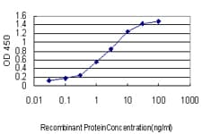 NFAT1 / NFATC2 Antibody (clone 2A4)