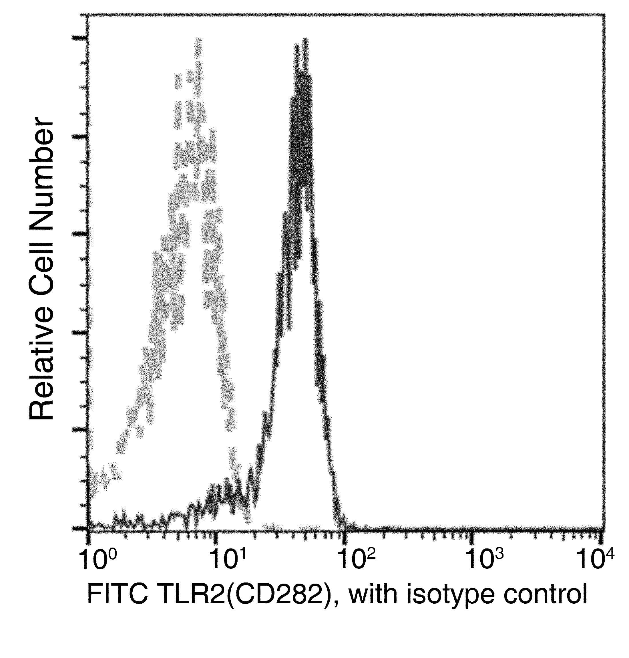 TLR2 Antibody (clone 067, FITC)