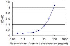 Osteoglycin / Mimecan Antibody (clone 2G4)