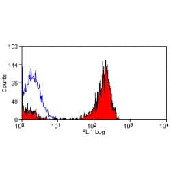 CD36 Antibody (clone MF3)