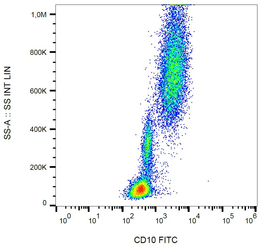 MME / CD10 Antibody (clone LT10, FITC)