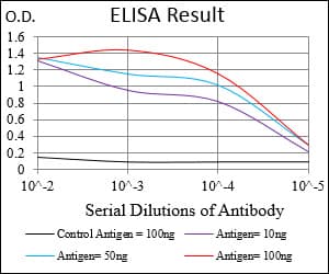 CD22 Antibody (aa621-725, clone 2H1C4)