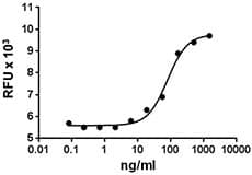 Mouse AREG / Amphiregulin Protein (Recombinant)