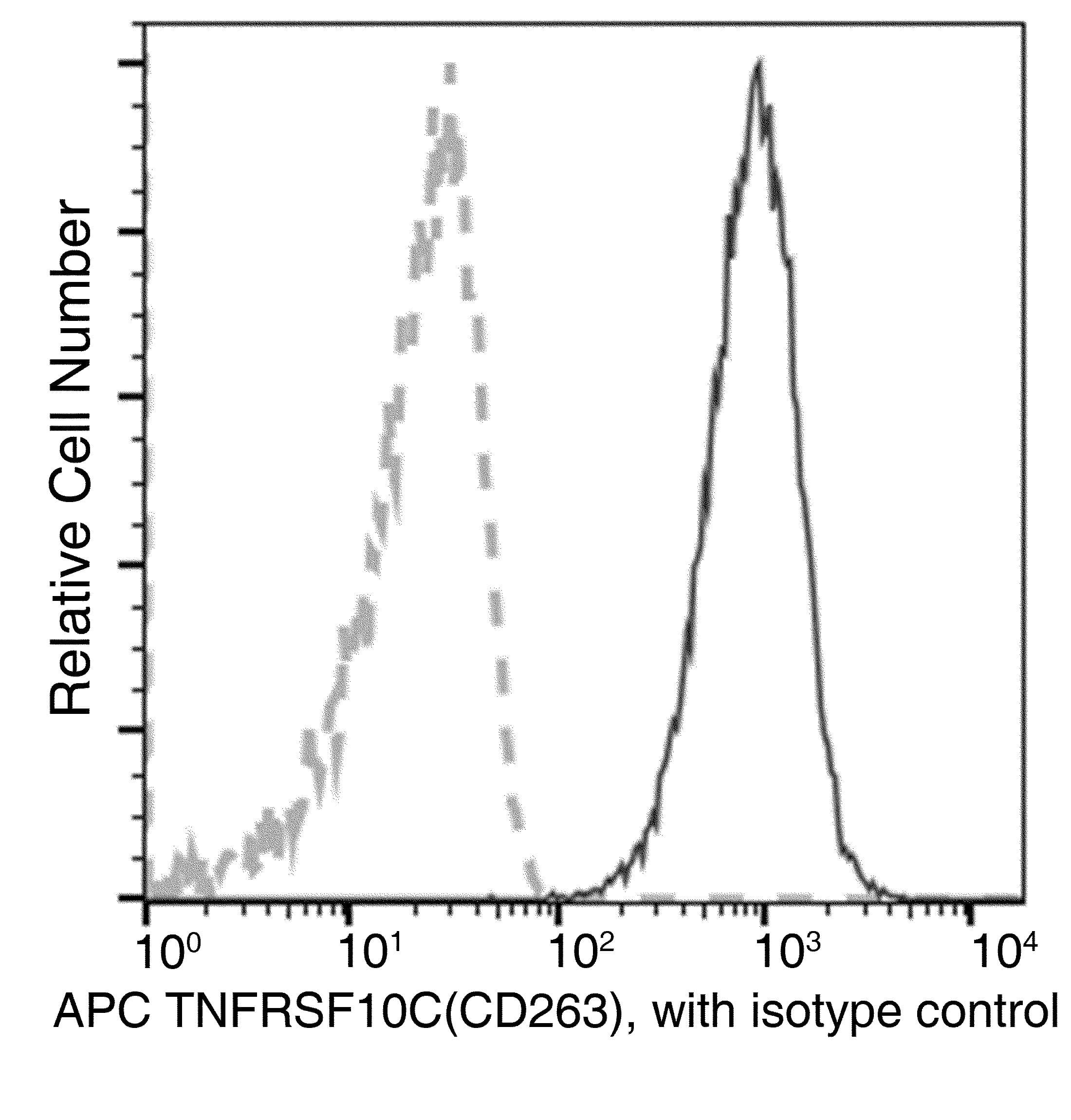 TRAIL-R3 / DCR1 Antibody (clone 003, APC)