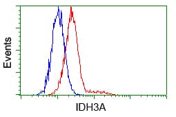 IDH3A Antibody (clone OTI2F11)