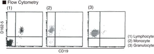 Monoclonal Mouse anti-Human CYBB / NOX2 / gp91phox Antibody (clone 7D5, PE)
