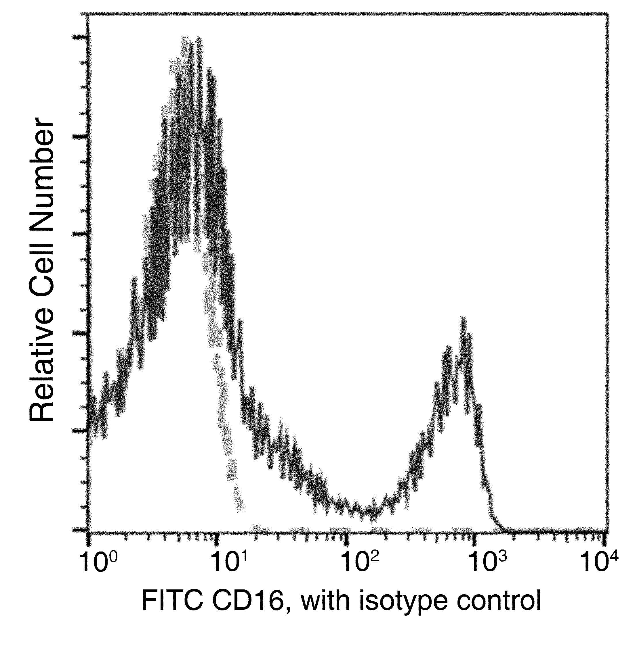 Monoclonal Mouse anti-Human FCGR3A / CD16A Antibody (clone 41, FITC)